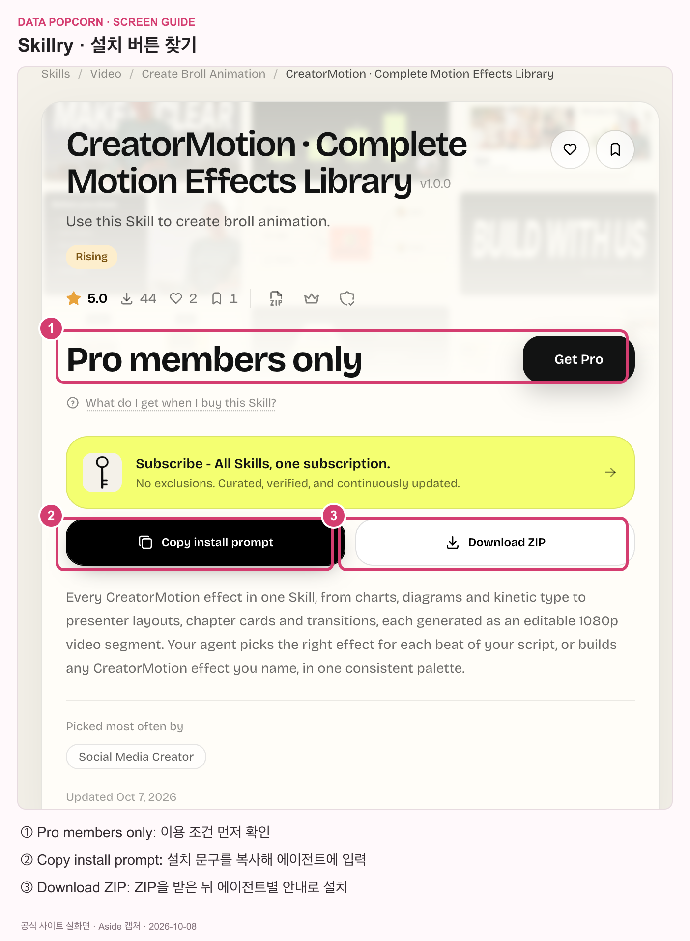 Skillry의 Pro 이용 조건·Copy install prompt·Download ZIP 위치