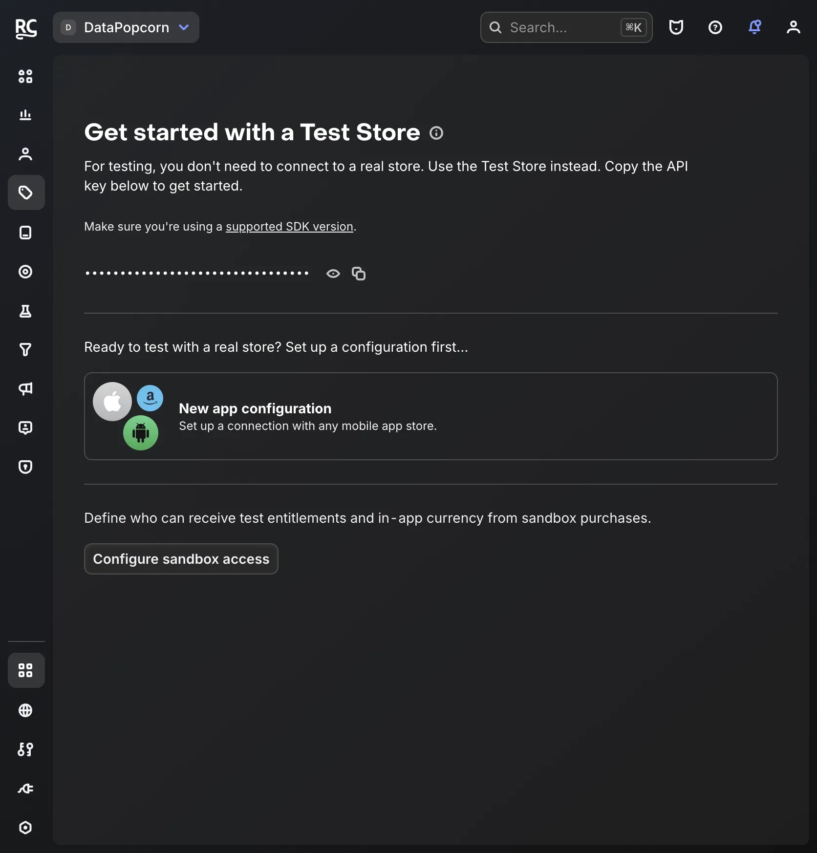 RevenueCat Apps 화면에 Test Store API 키(가려진 상태)와 실제 스토어 설정 안내가 표시된 모습